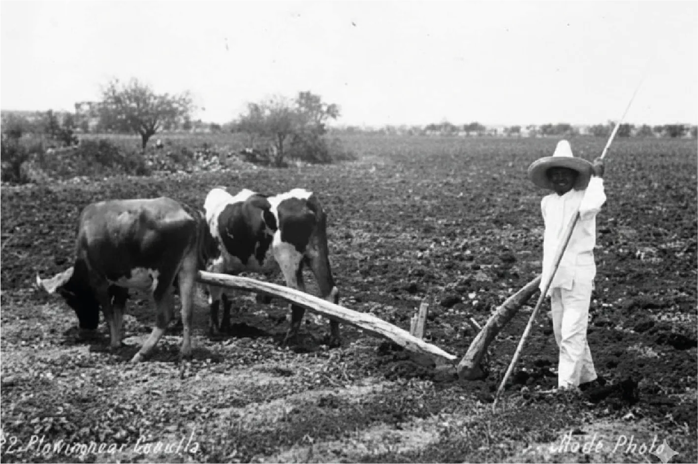 Campos Agrícolas Tlaxcala - Revolución